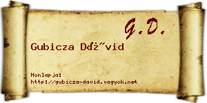 Gubicza Dávid névjegykártya